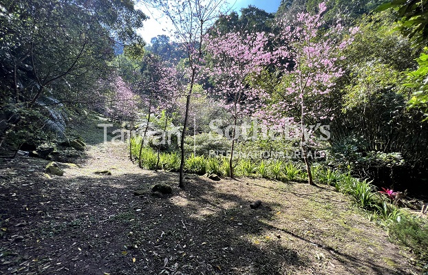 台北文山區萬坪森空間土地現場實景